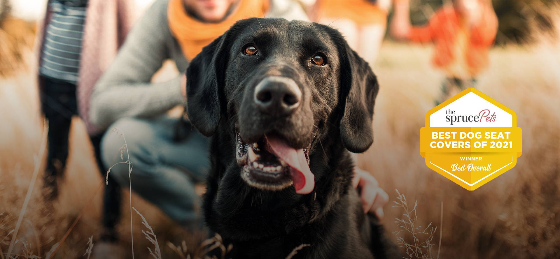 Best seat online covers for pets